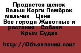 Продается щенок Вельш Корги Пемброк мальчик › Цена ­ 65 000 - Все города Животные и растения » Собаки   . Крым,Судак